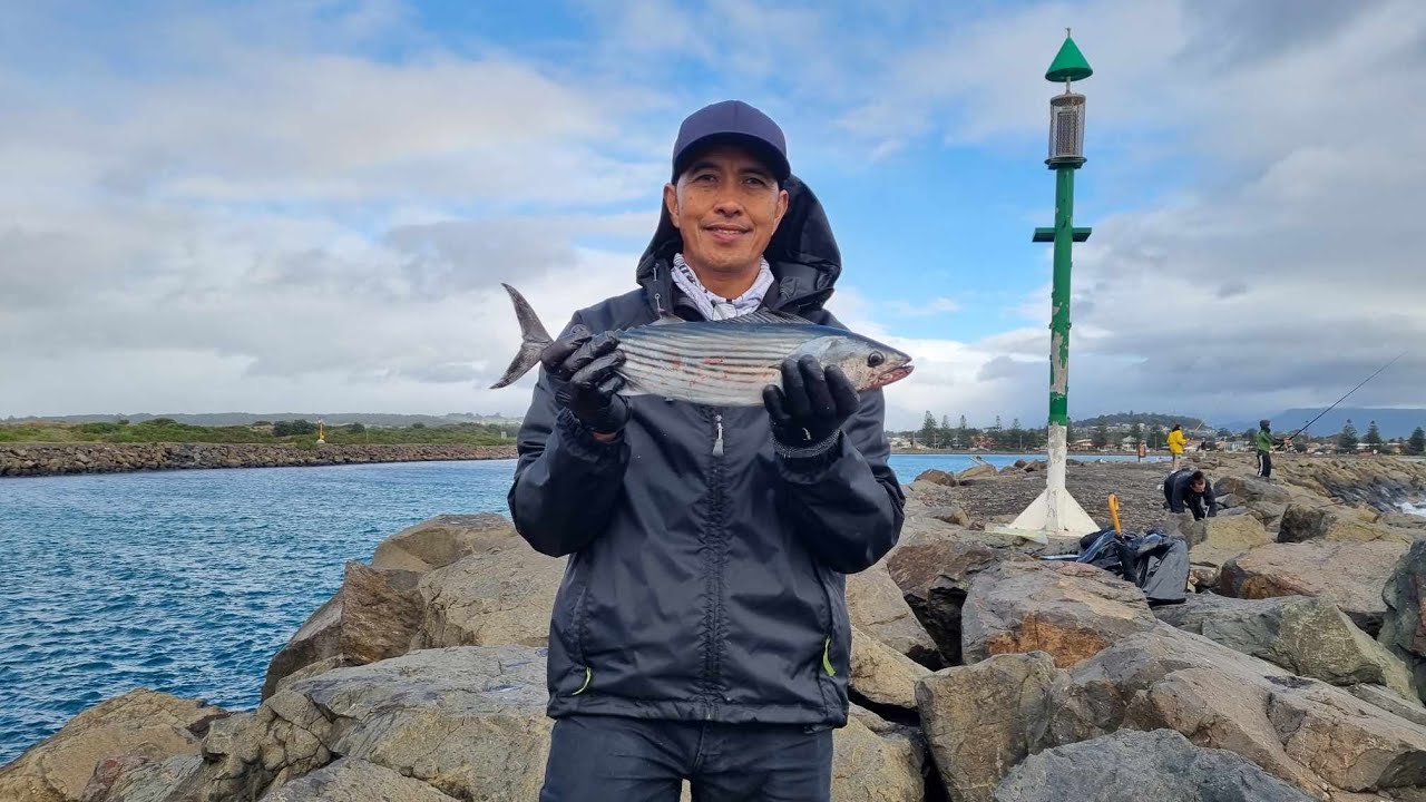 AUTUMN FISHING BIG BONITO AT WINDANG ### @kidmarino
