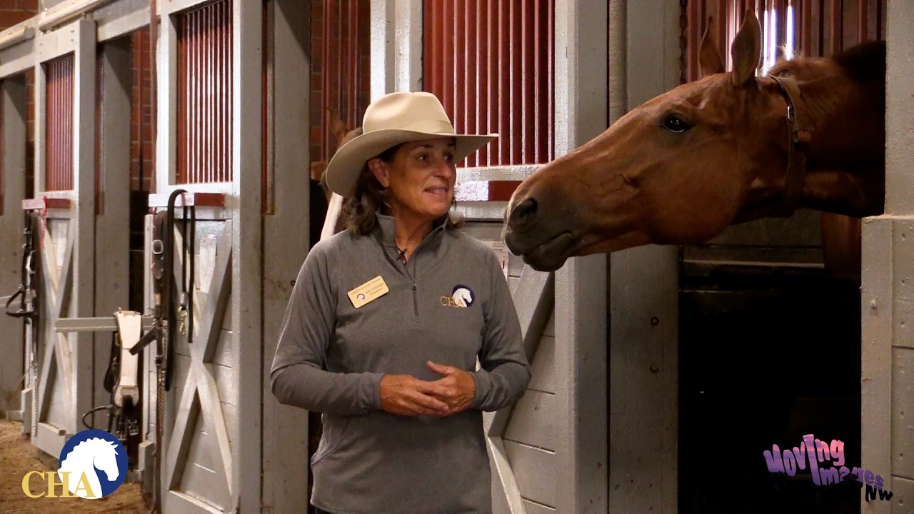 Horse Vocal Communication with Julie Goodnight
