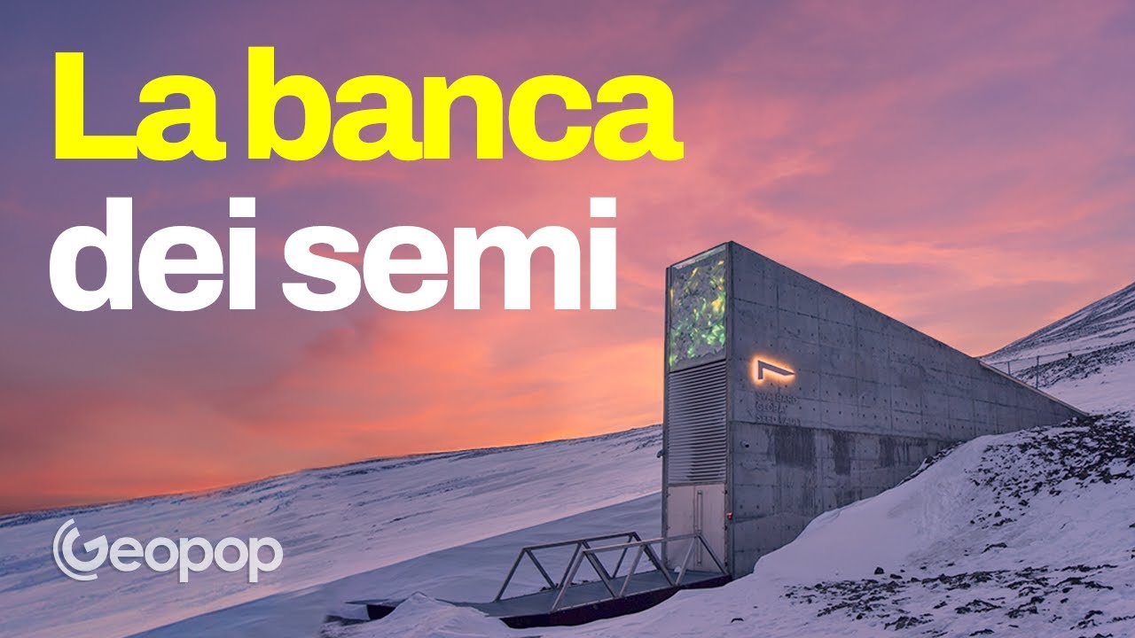 Cos'è la Banca Mondiale dei Semi delle isole Svalbard, il 