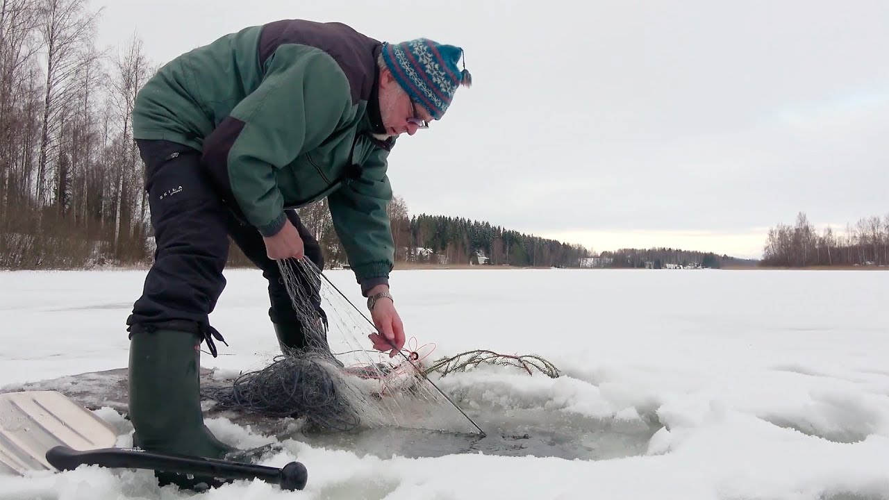 Kuukauden konkari: Reijo Oravainen kalassa