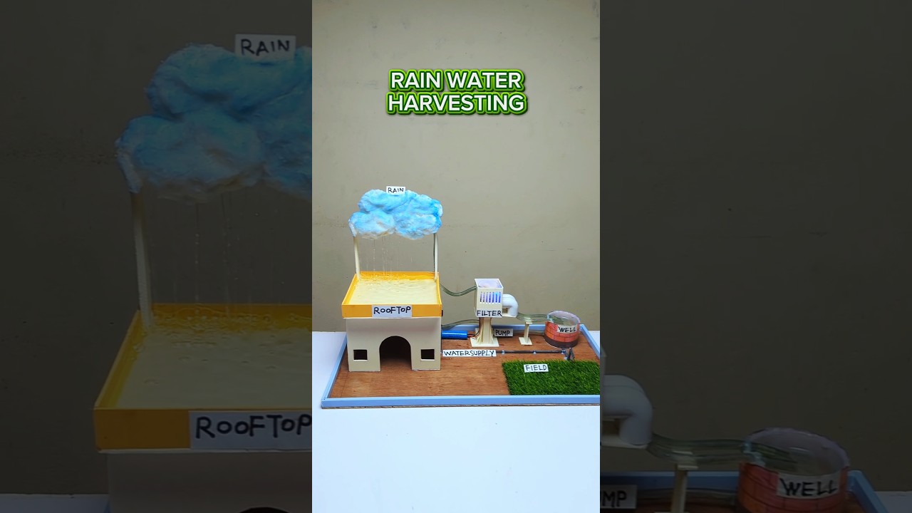 Rain Water Harvesting System Working Model | Best Science Project for School Exhibition #diy #shorts