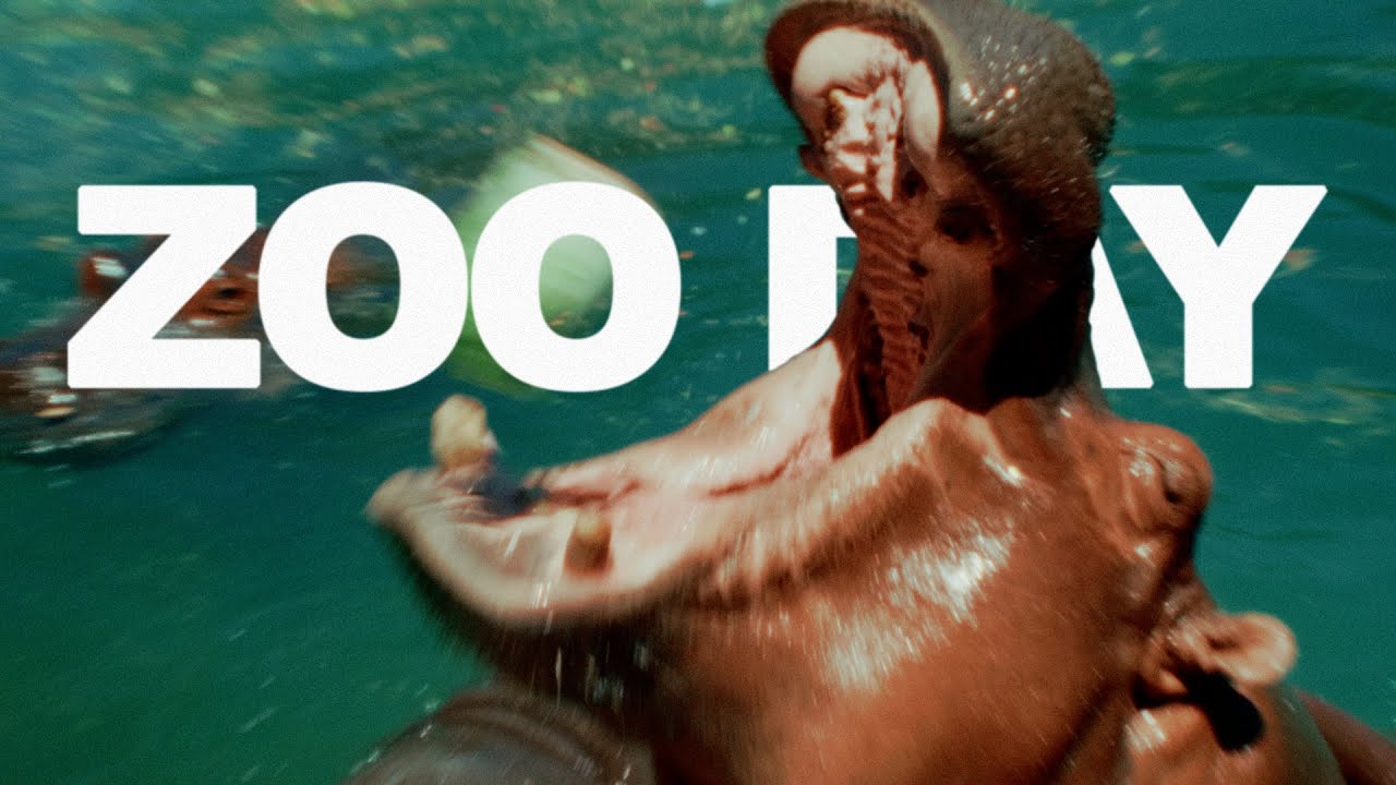 ZOO DAY | BMPCC OG