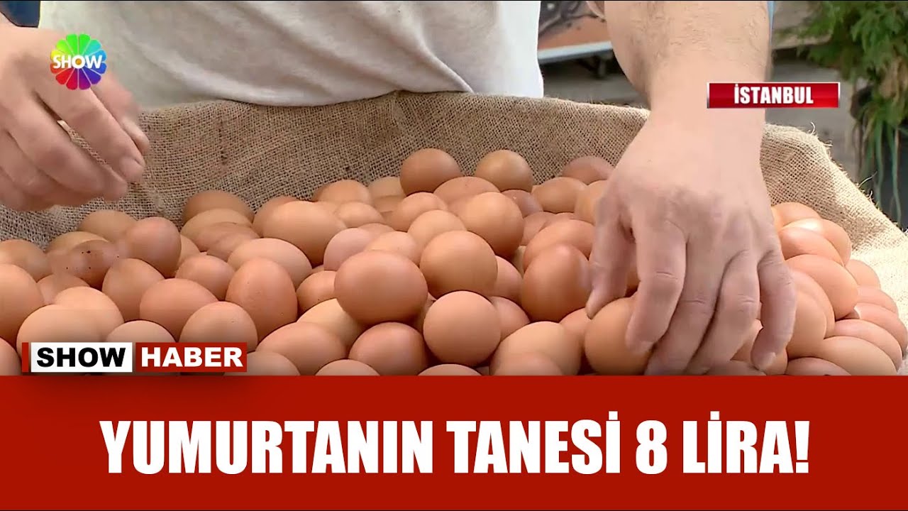 Yumurtaya peş peşe zam!