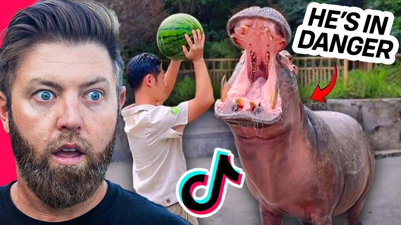 Wildlife Expert Reacts To Viral Animal TikToks