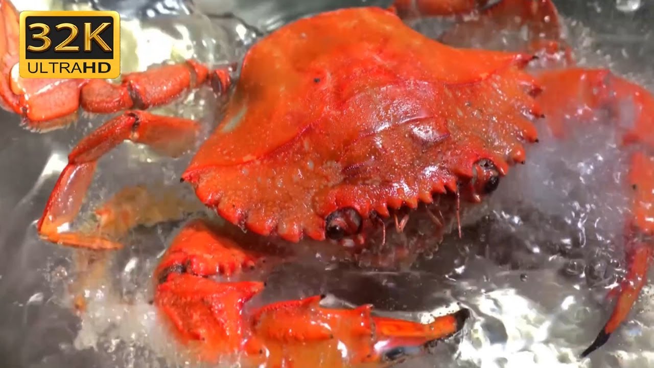 SLOW MOTION In 32K ULTRA HD 1000FPS Video | 32k Ultra HD Video