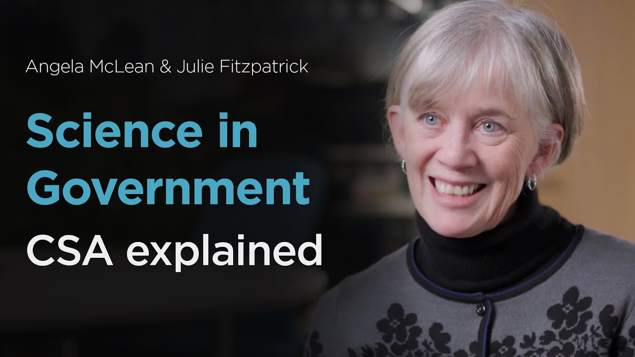 What does a Chief Scientific Adviser do?