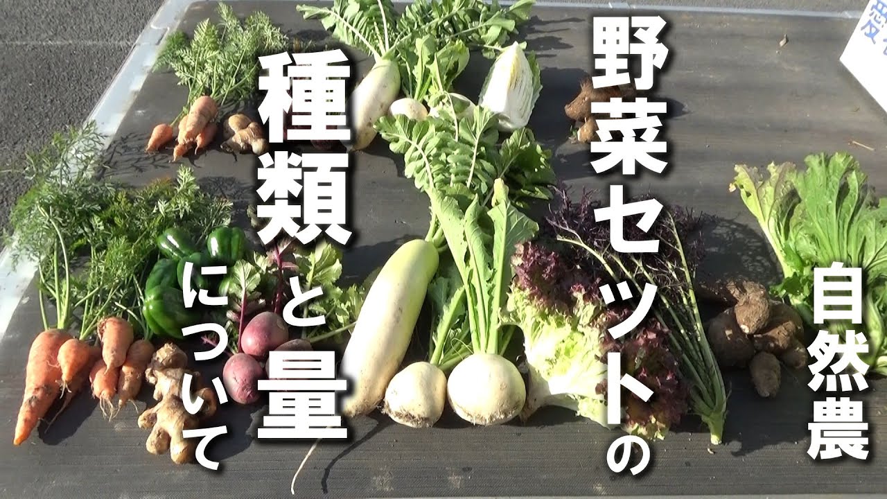 【自然農】「野菜セットの種類と量について教えてください」という質問に答えます　2026年1月9日【natural farming】