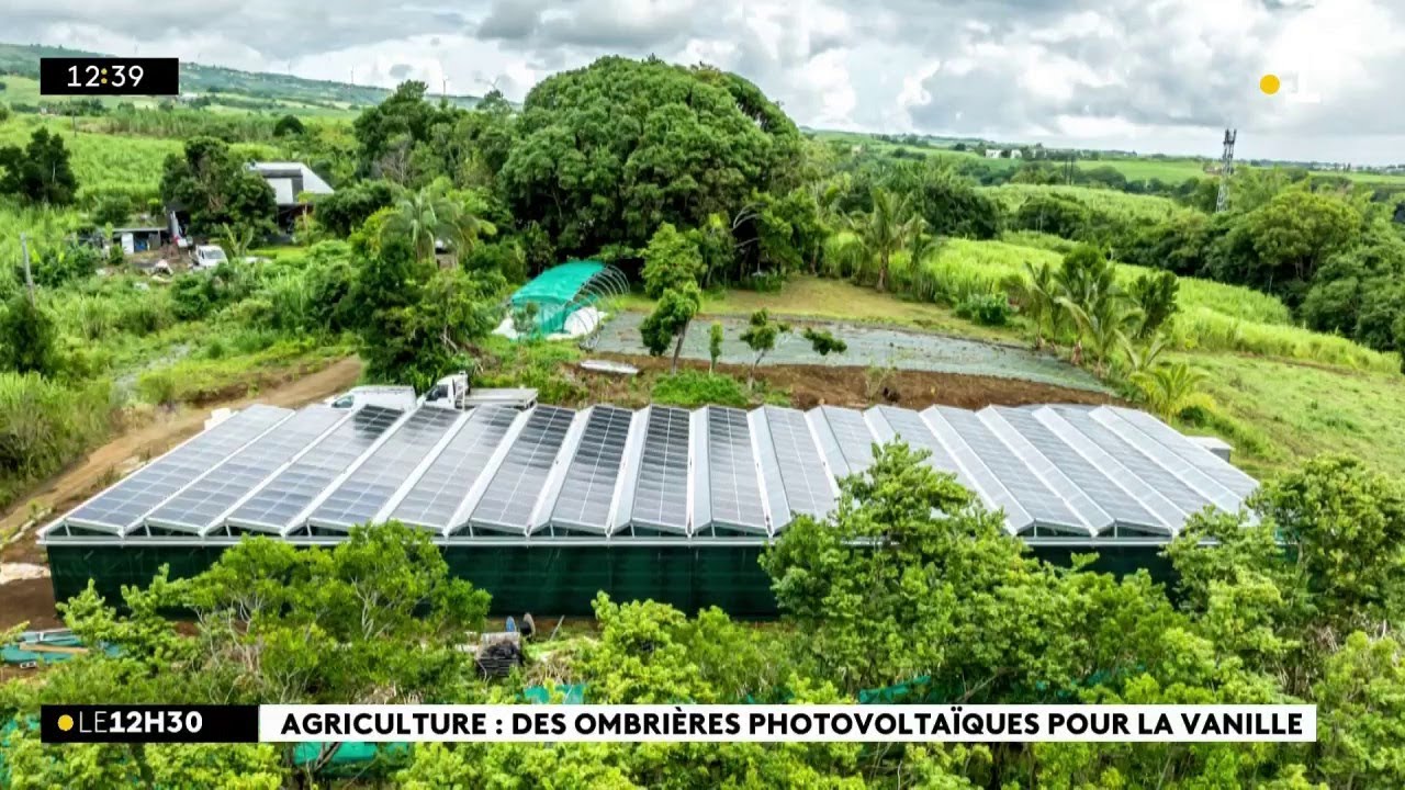 Une ombrière photovoltaïque pour protéger la culture de la vanille à Bras-Panon