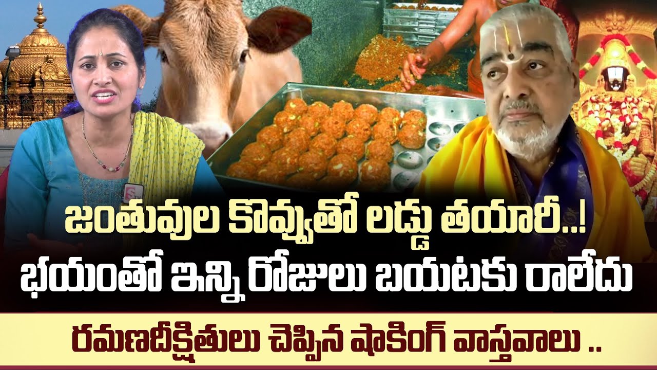 TTD Pradhana Archakulu Ramana Deekshithulu On Tirumala Laddu Issue | Nirupama Interviews