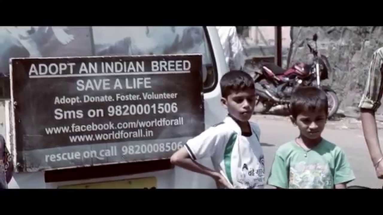 World For All (WFA) - Stray Animal Care & Adoptions, Mumbai