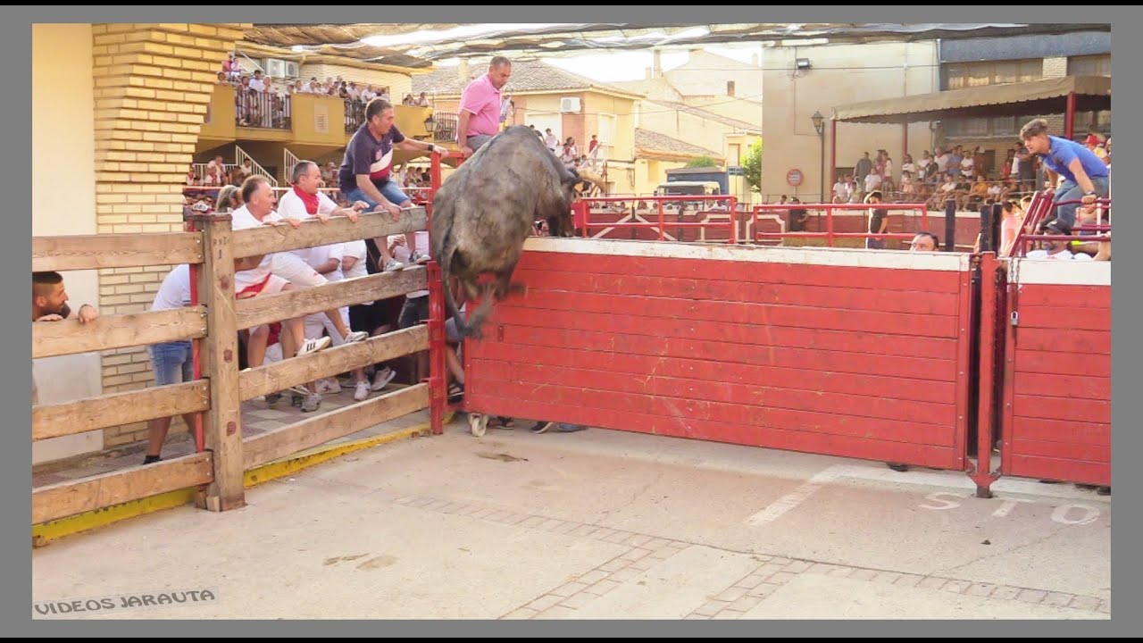 CADREITA ( NAVARRA ) TARDE VACAS EN CALLE ( JUEVES 20 JULIO 2023 ) GANAD.BRETOS FERNANDEZ