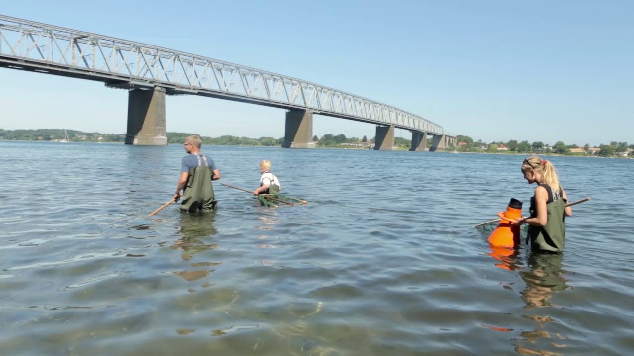 VisitMiddelfart inspirationsvideo