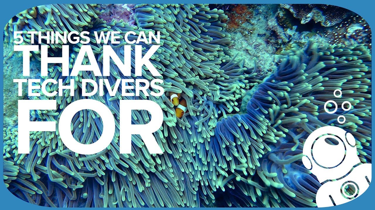 5 Things We Can Thank Tech Divers For
