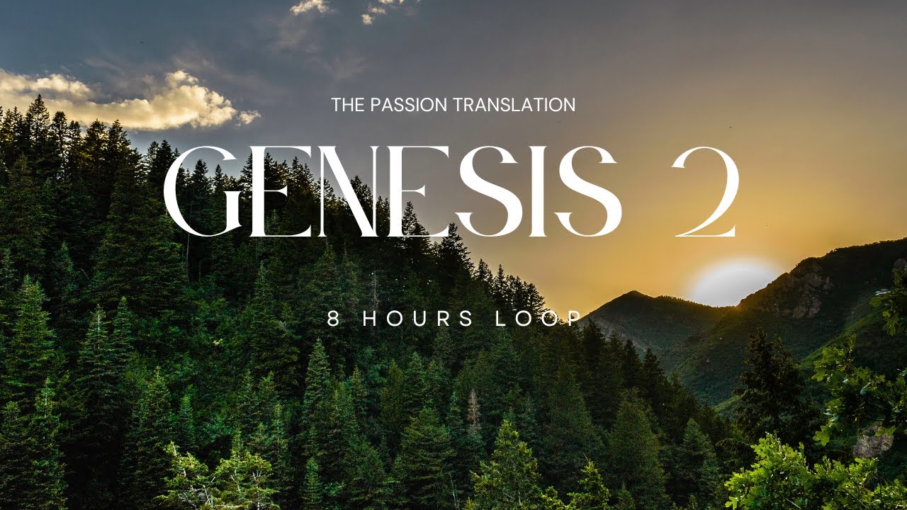 GENESIS 2 | THE PASSION TRANSLATION (TPT) | 8H | AUDIO BIBLE | DARK SCREEN