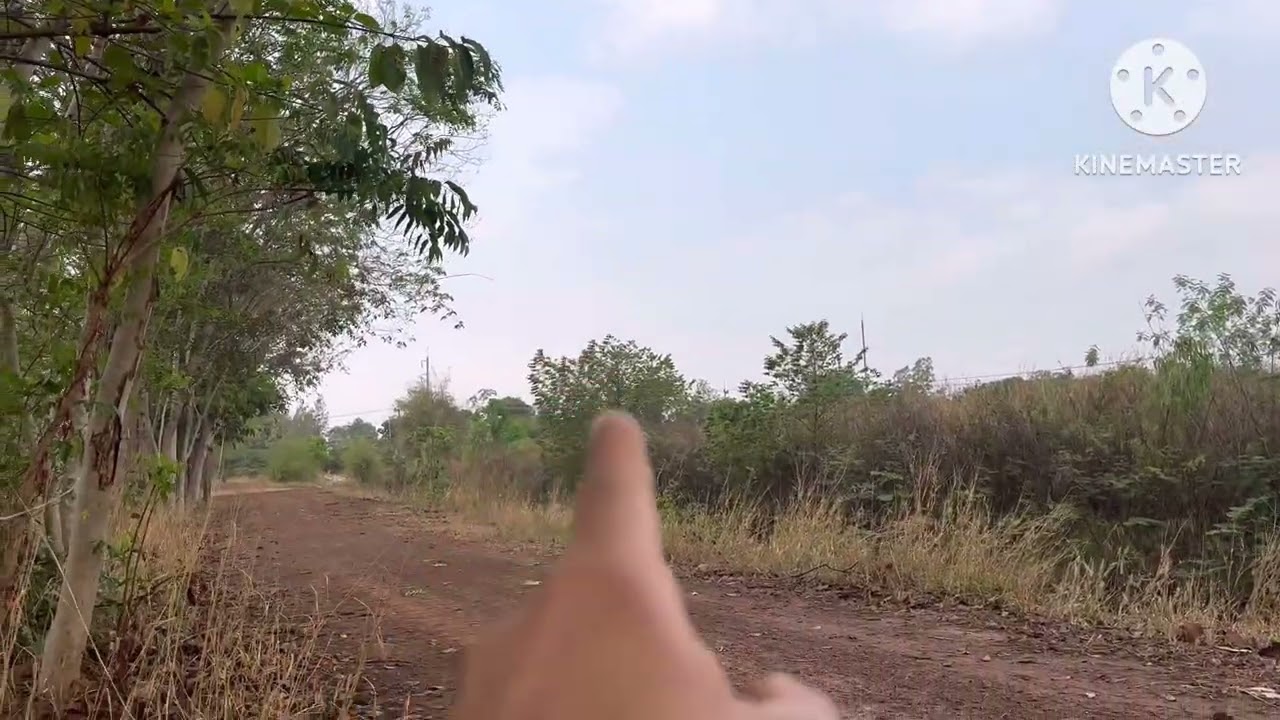 เปลี่ยนบรรยากาศมาต่อนกในเมืองครับ  “ เมืองสาเกตนคร ” @คําสอนสุระมณี 