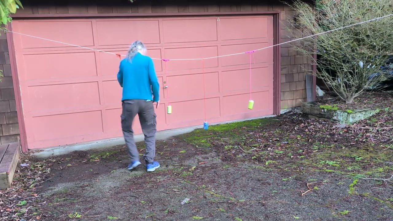 Pendulum resonance demonstration #1