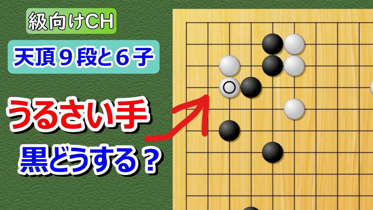 【囲碁】級向け・6子局　ぼ~と見てるだけで碁がわかる