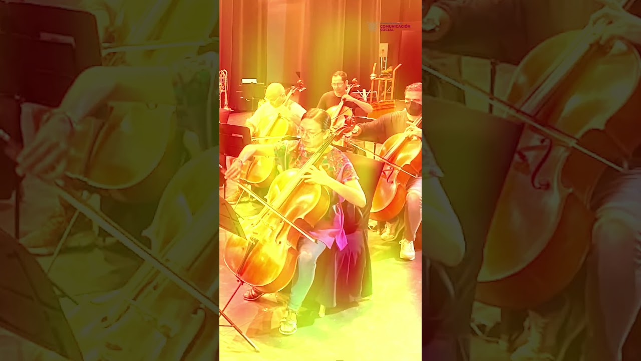🎻 Mozart suena en Acapulco con causa y con coraz&oacute;n ❤️