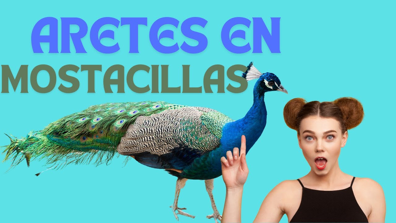 DIY aretes de pavo real súper fáciles