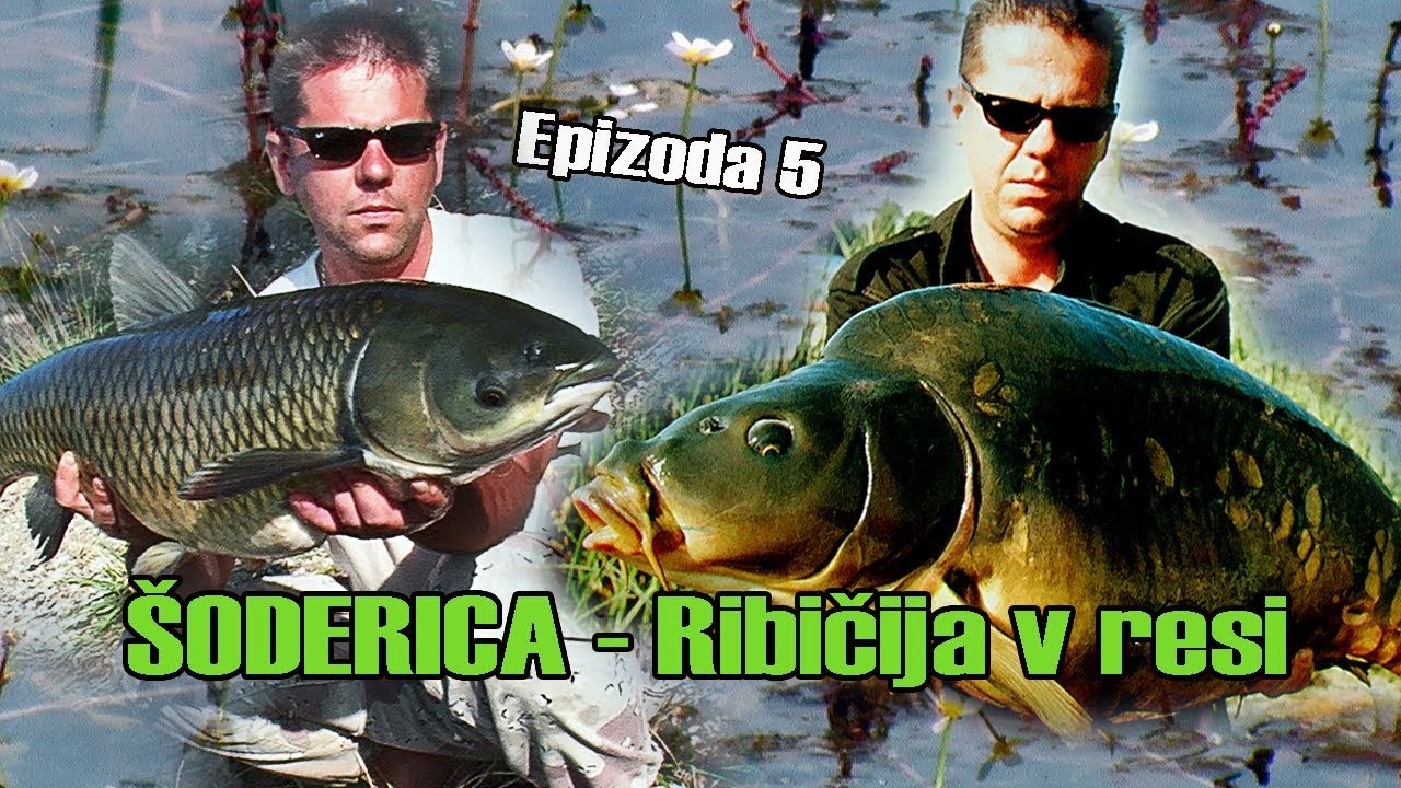 Veliki noćni amur i kapitalni šaran / Šoderica - Ribičija v resi E-5/6 / VSP Igor Pavičić