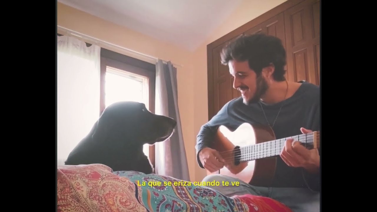 Morochos - Babas y arañazos