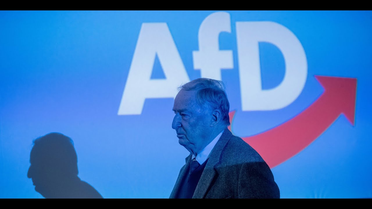 PARTEI IM PORTRAIT: Die AfD - Von euroskeptisch zu rechtspopulistisch