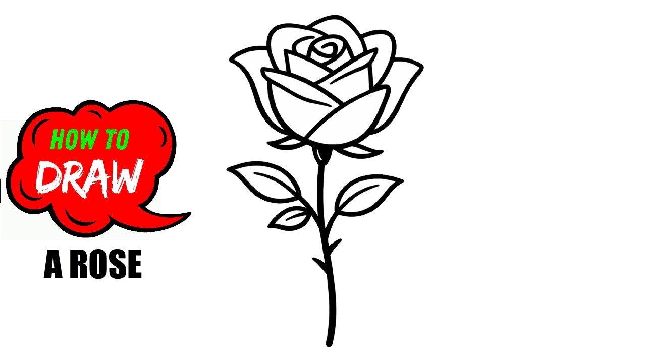 How to Draw a Rose Step by Step 🌹 Easy Rose Drawing for Beginners