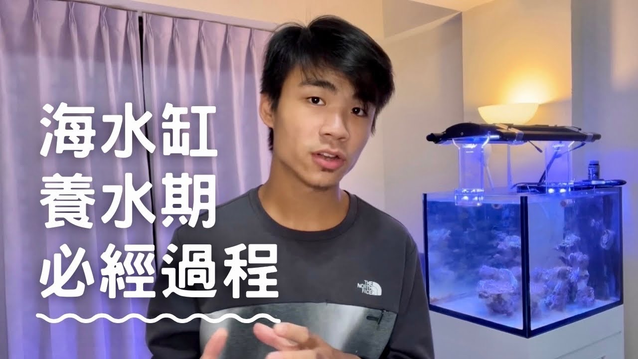 如何設置並維護一個海水缸//【開缸養水前期】