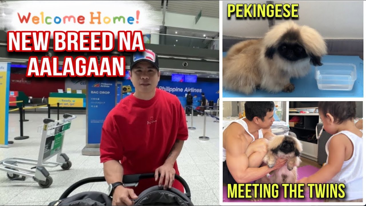 GRABE! FIRST TIME KO MAKITA SIYA… BAGONG ALAGA NAMIN NA PEKINGESE!!! SAM WALASTIK