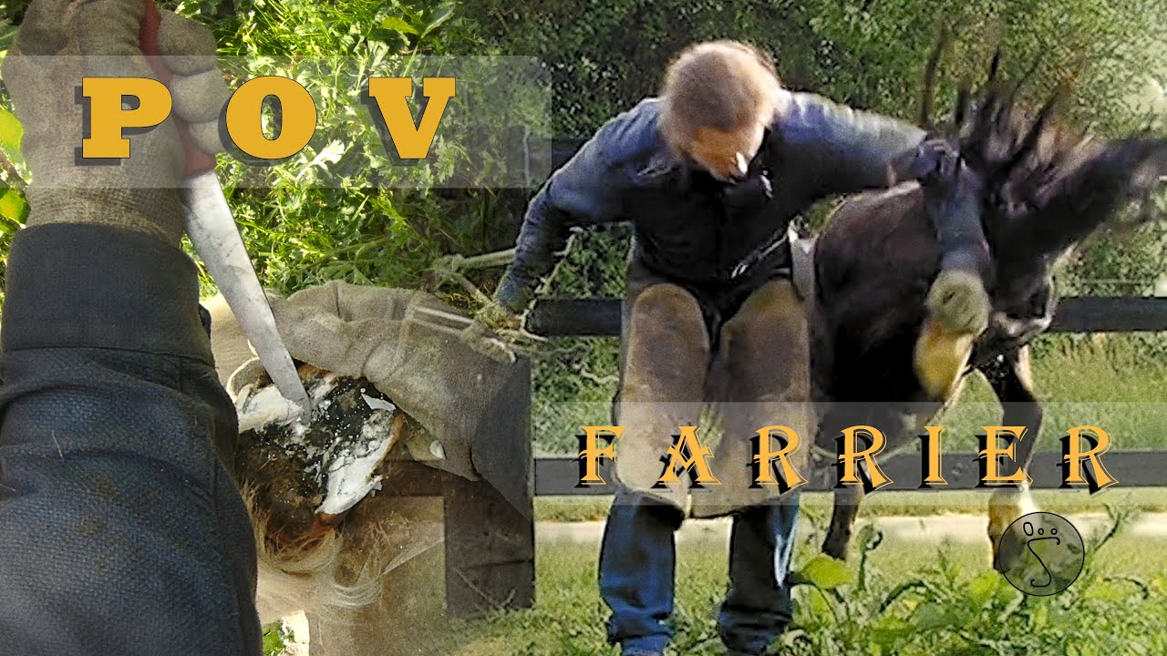 Farrier 's P.O.V. [no talk] (2021)