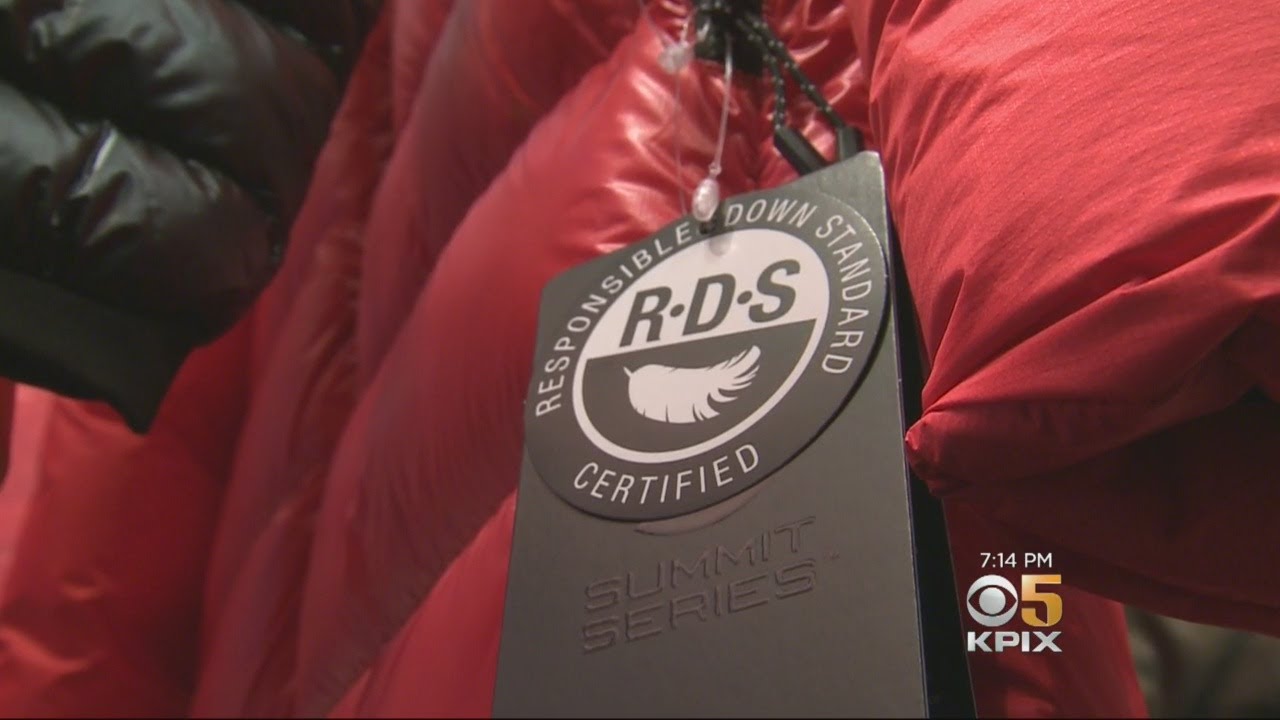 Animal Activists Call 'Responsible Down Standard' A Flawed System