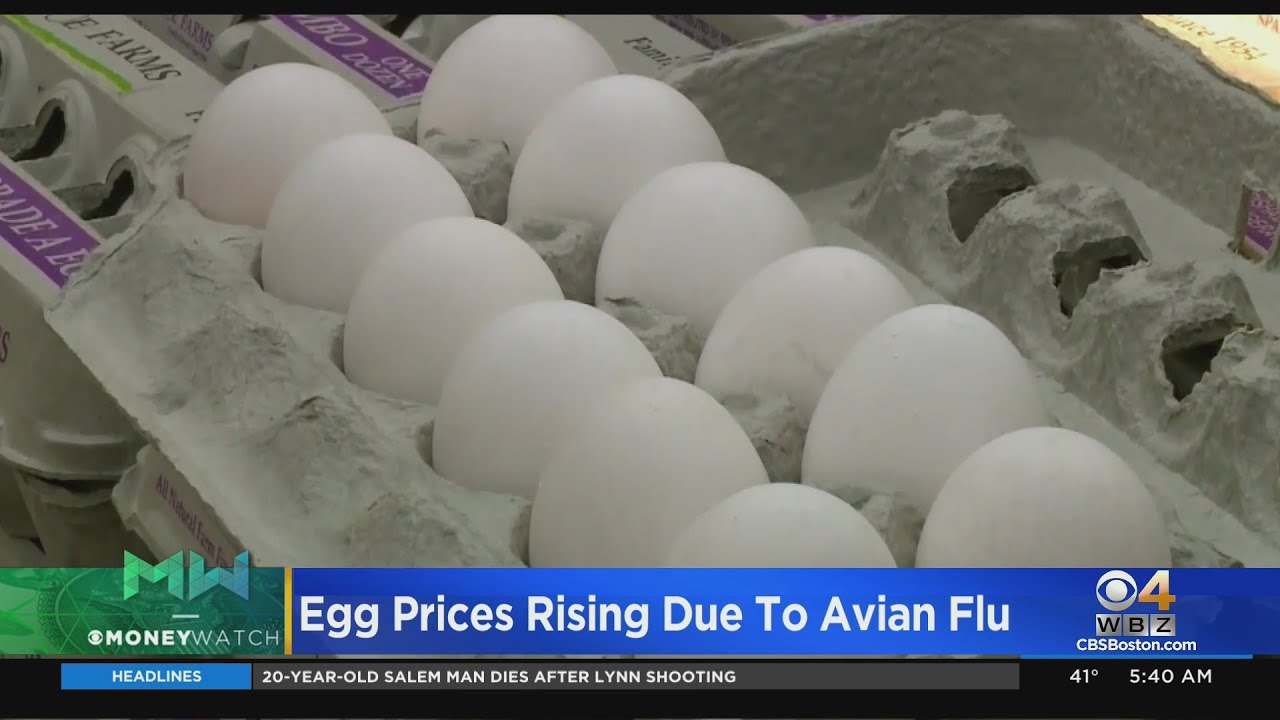 Egg Prices Rising Due To Avian Flu