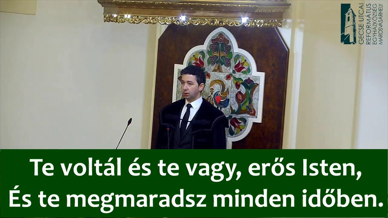 2026.02.15 11:00 óra, Székely Szabolcs