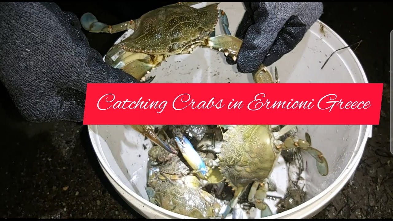 Catching Crabs in Ermioni Greece...ate thess bisaya
