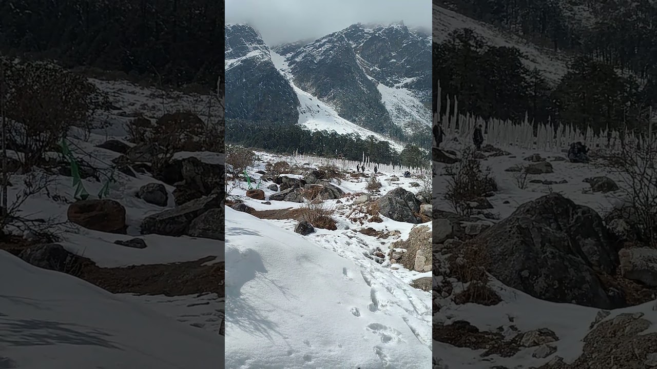 Sikkim | Lachung | Yumthang Valley | Valley of Flowers #Sikkim #zeropoint #mountains #snowfall #snow