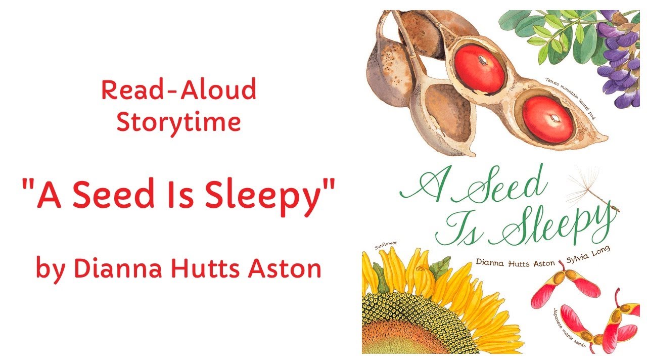 A Seed Is Sleepy by Dianna Hutts Aston (Read Aloud) Storytime
