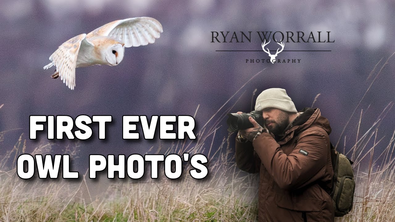 Took Me How Long To Get Barn Owl Photo's?!