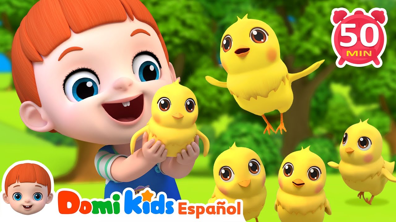 Colección de Canciones Infantiles | Cinco Pollitos y Más | Domi Kids en Español