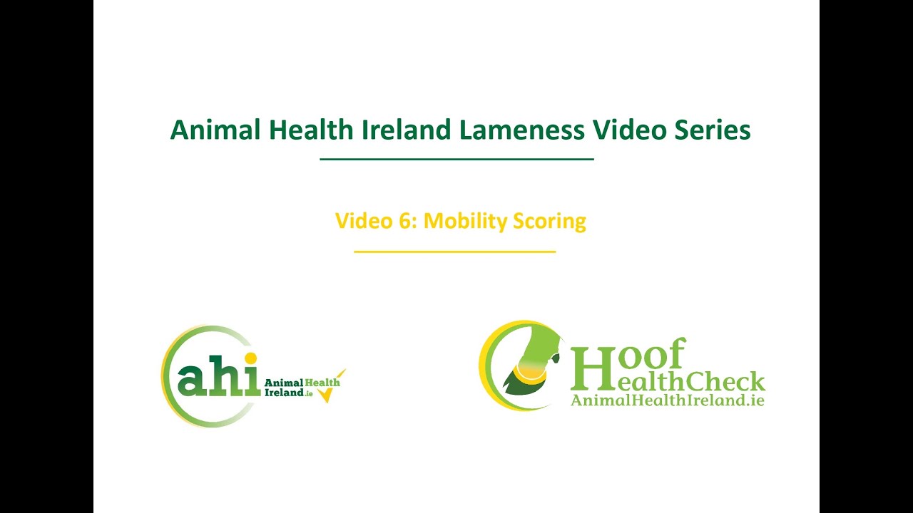 Mobility Scoring