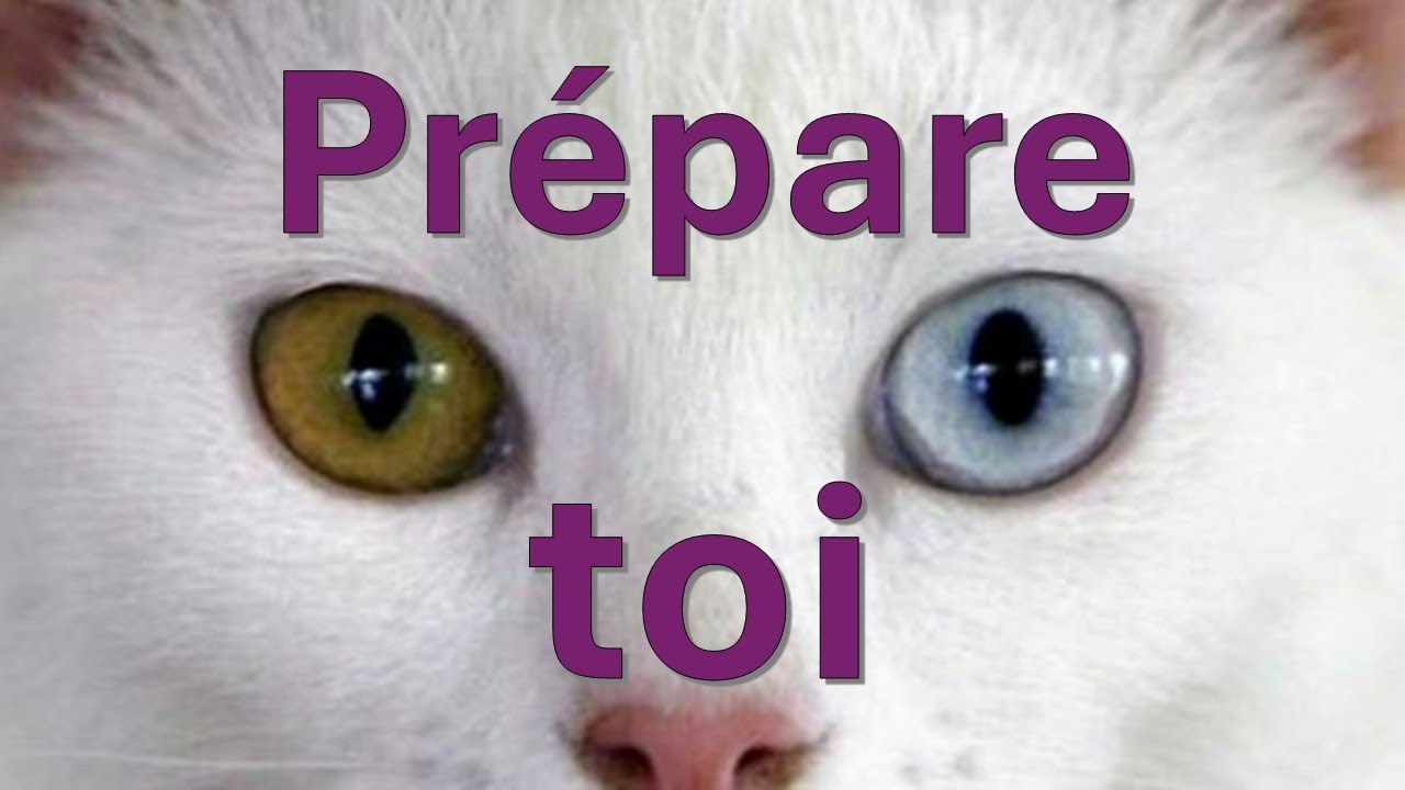 Outil de négociation - Prépare toi