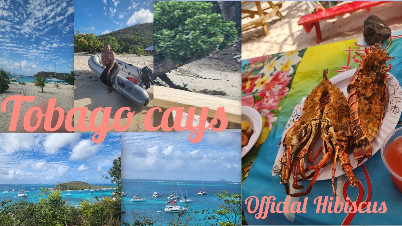 Business & Beaches: My Union Island & Tobago Cays Adventure || official Hibiscus 