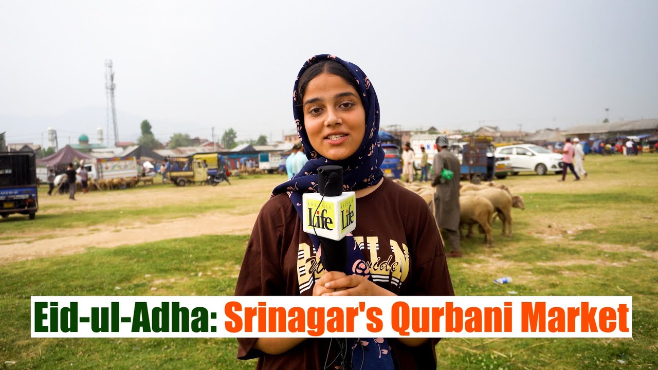 Eid-ul-Adha: Srinagar's Qurbani Market