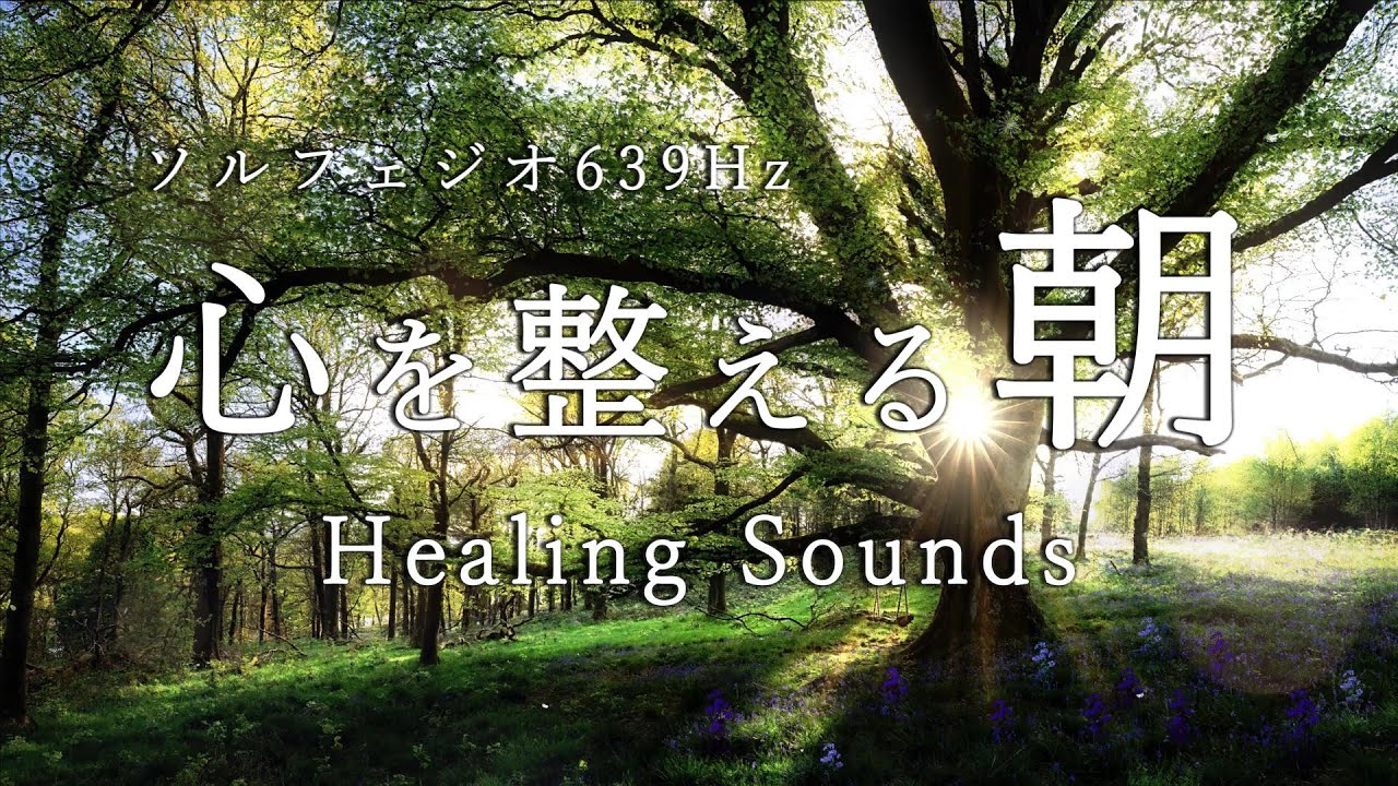 朝のスイッチON｜思考を整えて動き出す朝｜639Hz｜心を整える朝の習慣｜Morning Switch ON vol.14