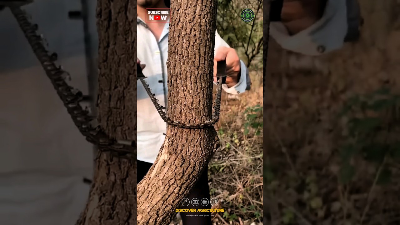 Pocket Chainsaw