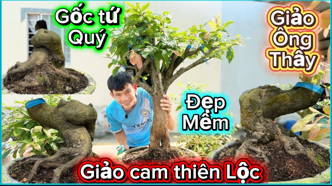 💥14/3☎️0393843842-A KHA ☎️phôi mai đế đẹp độc lạ phôi tuý báo mã số 