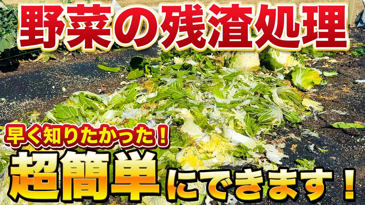 やらなきゃ損！コスパ良く楽して野菜の残渣を処理しよう！キツい穴掘りはやめましょう！