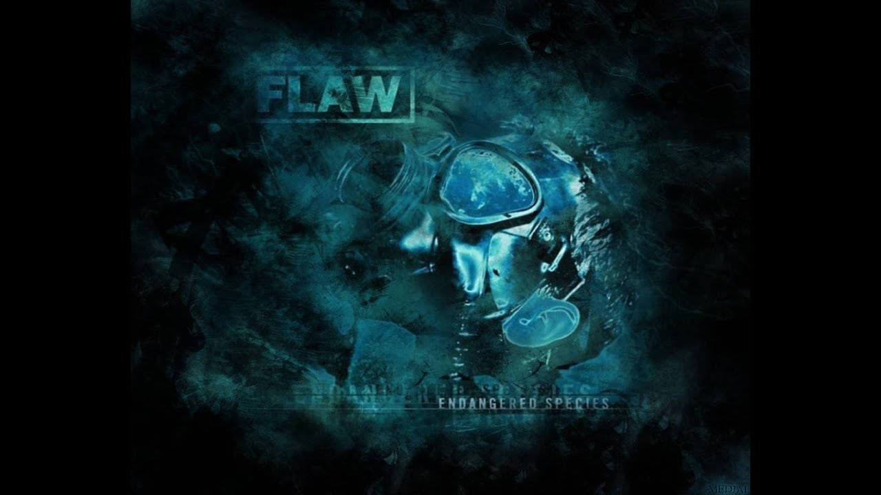 Flaw - Medicate (Subtítulos en Español)