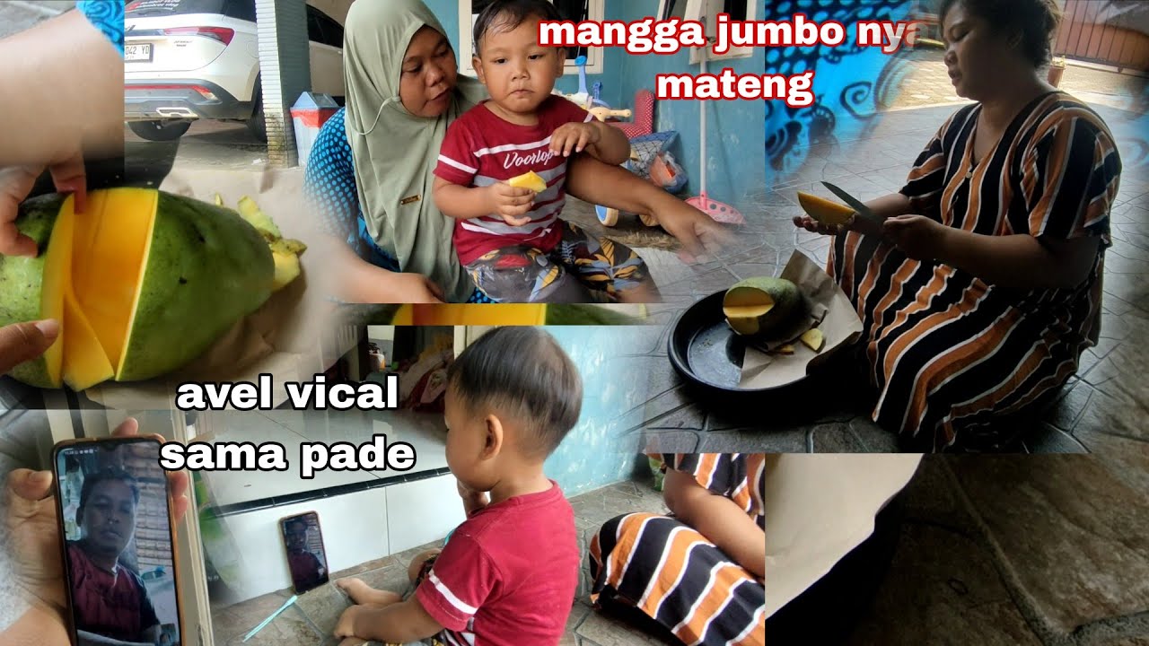 Mangga dari Mbak Reni mau dibawa pulang ke Lampung malah Mateng 