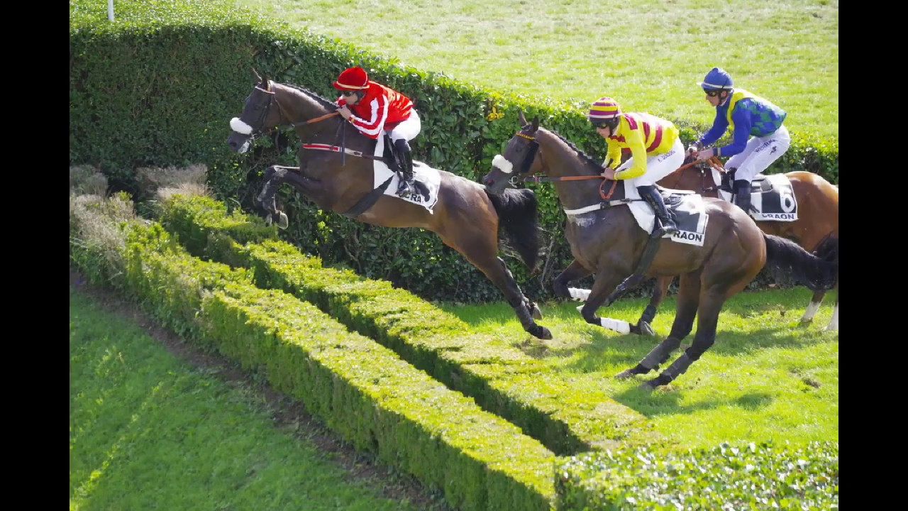 Courses de chevaux hippodrome de craon 1er septembre 2019
