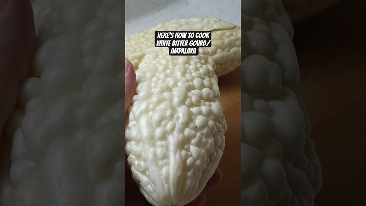 La courge am&egrave;re blanche est moins am&egrave;re que la courge am&egrave;re verte #l&eacute;gumes #nourriture #recette